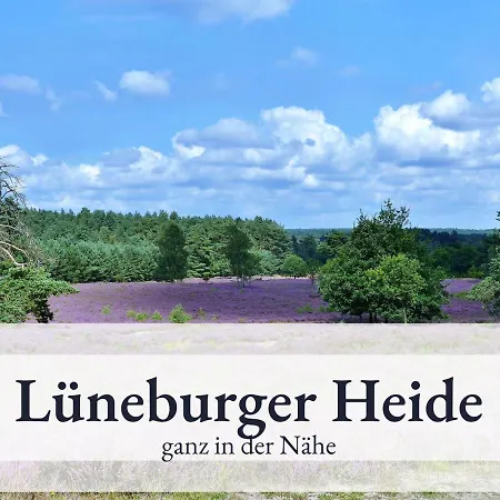 Blumenvilla 9 Mit Sauna Und Garten Schneverdingen