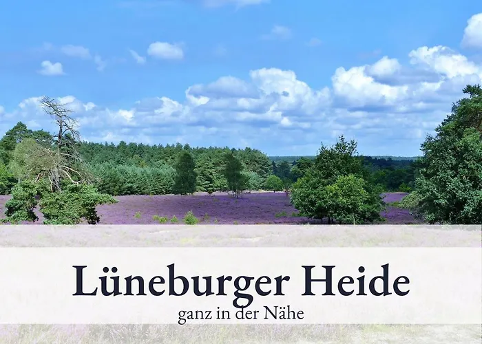 Blumenvilla 9 Mit Sauna Und Garten Schneverdingen